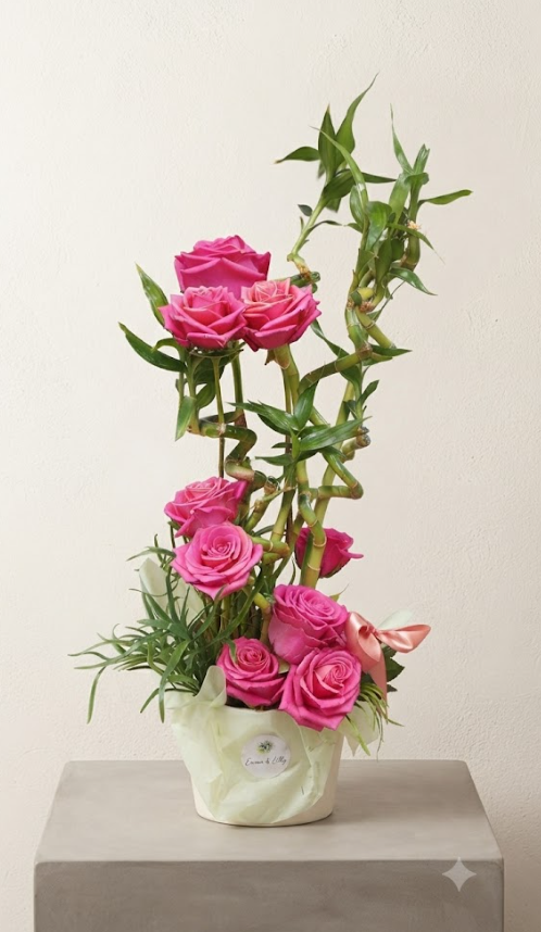 Nos rose élancé